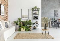 Top Indoor Plant Decor Reviews