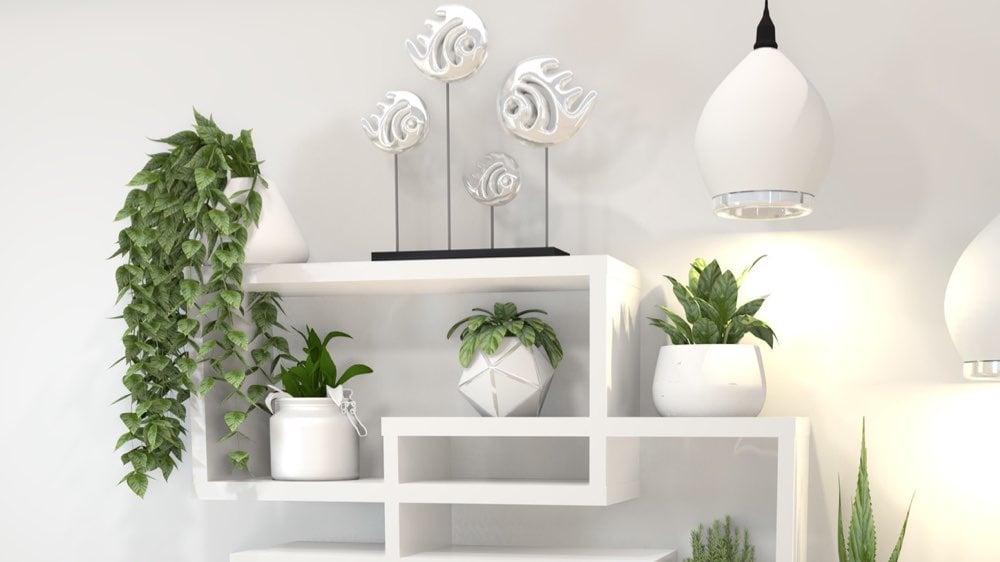 Top Indoor Plant Decor Reviews